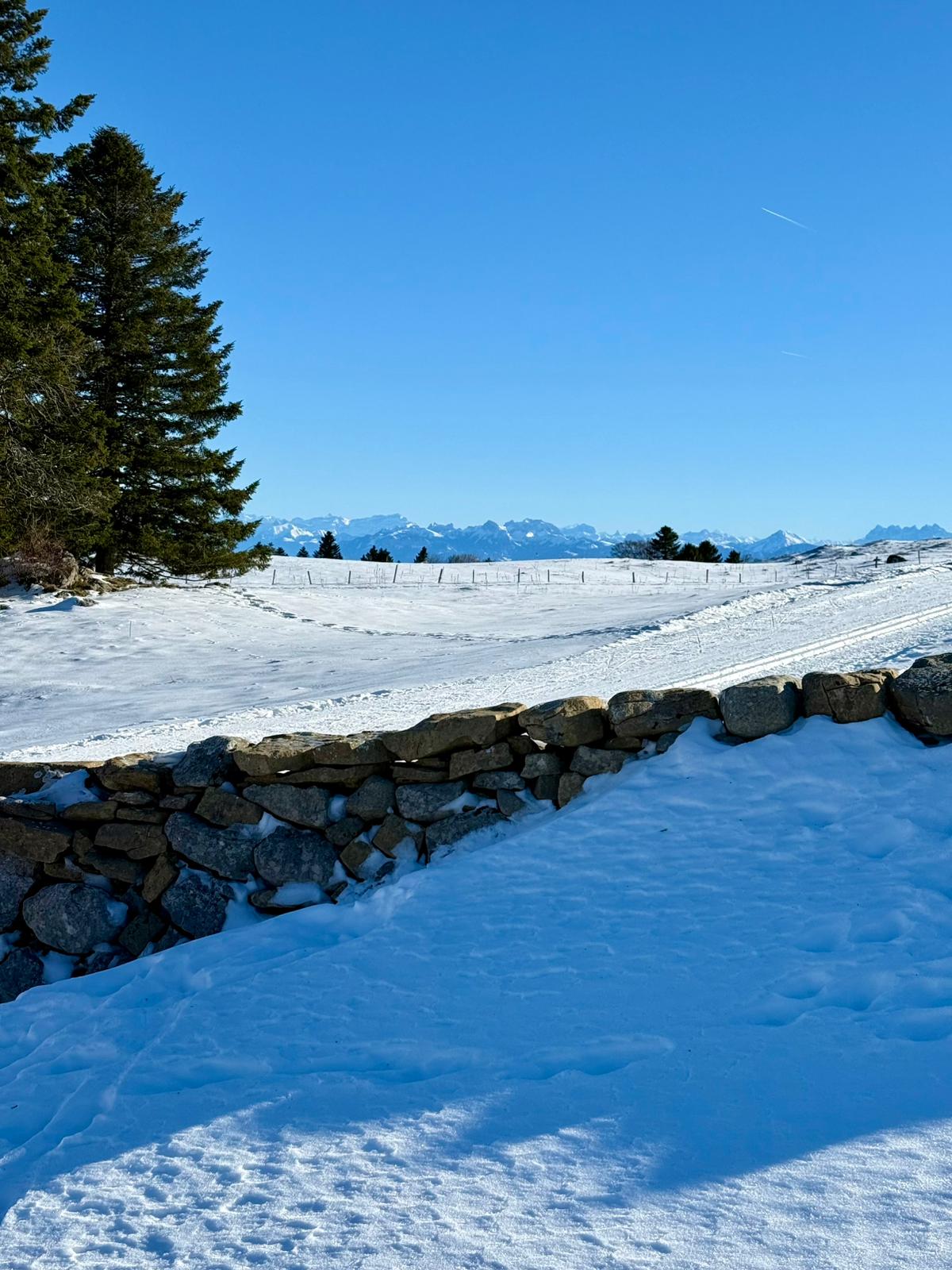 Sortie annulée pour cause de météo. Décembre 2025 – Raquettes à&nbsp;Allières