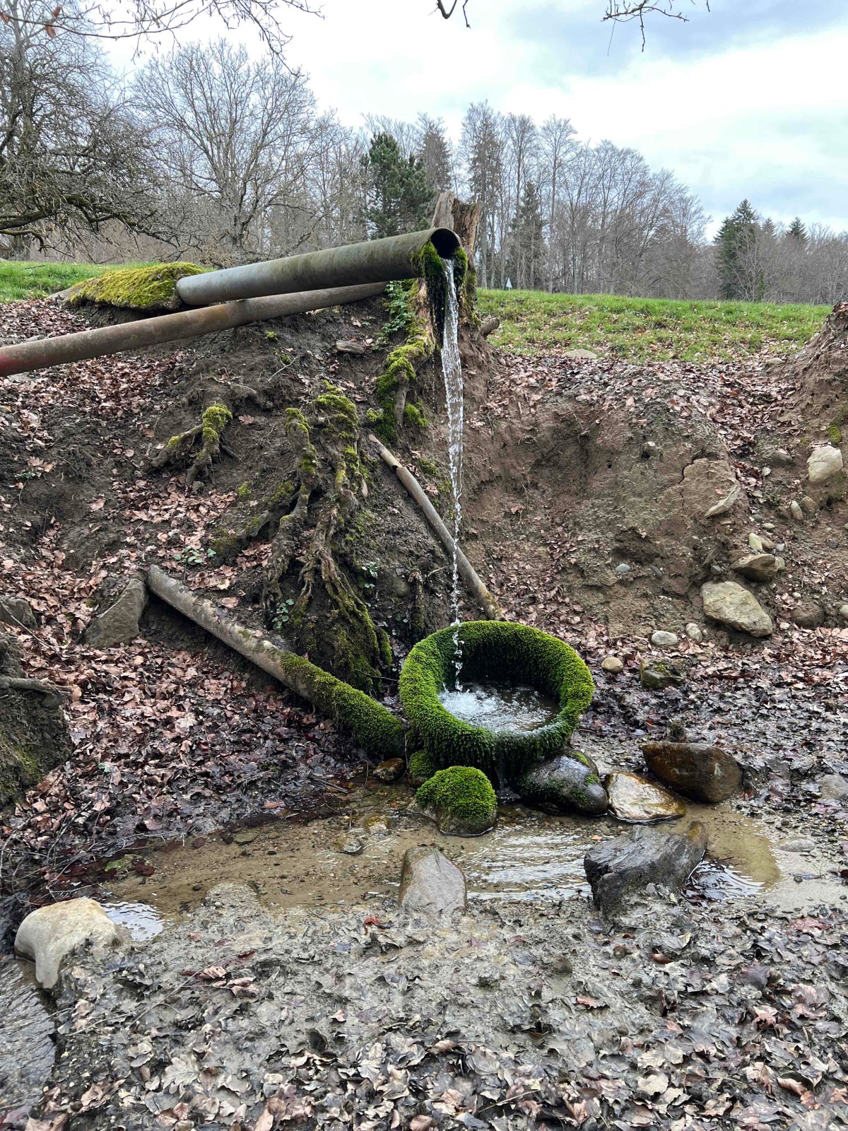 Novembre 2025 – Sur le sentier du patrimoine de&nbsp;Romainmôtier