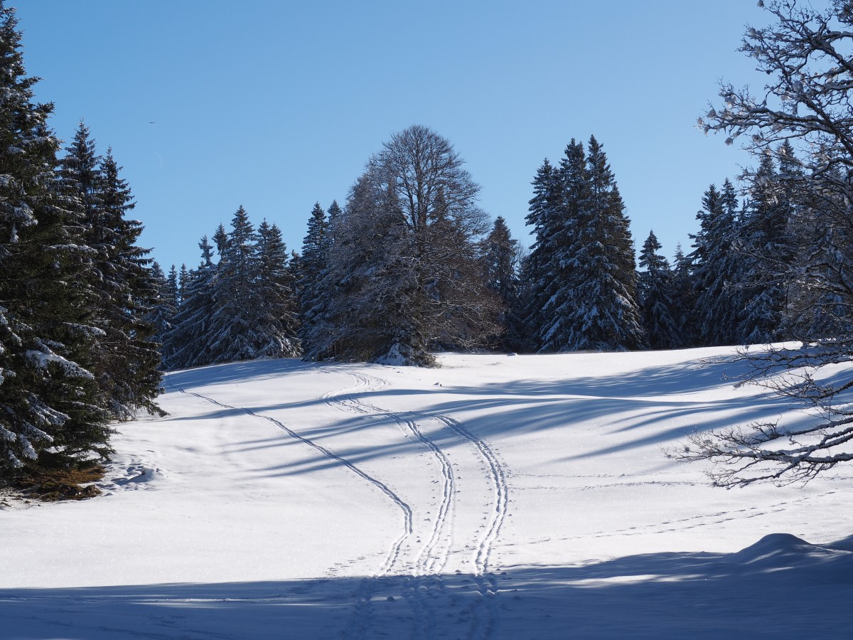 Janvier 2026 – Raquettes Parcours de&nbsp;Taveyanne