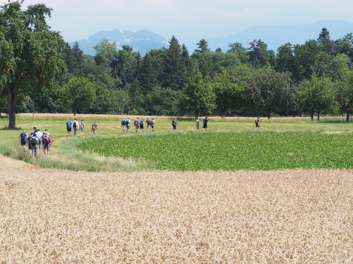 Mars 2026 – Genève&nbsp;insoupçonnée?