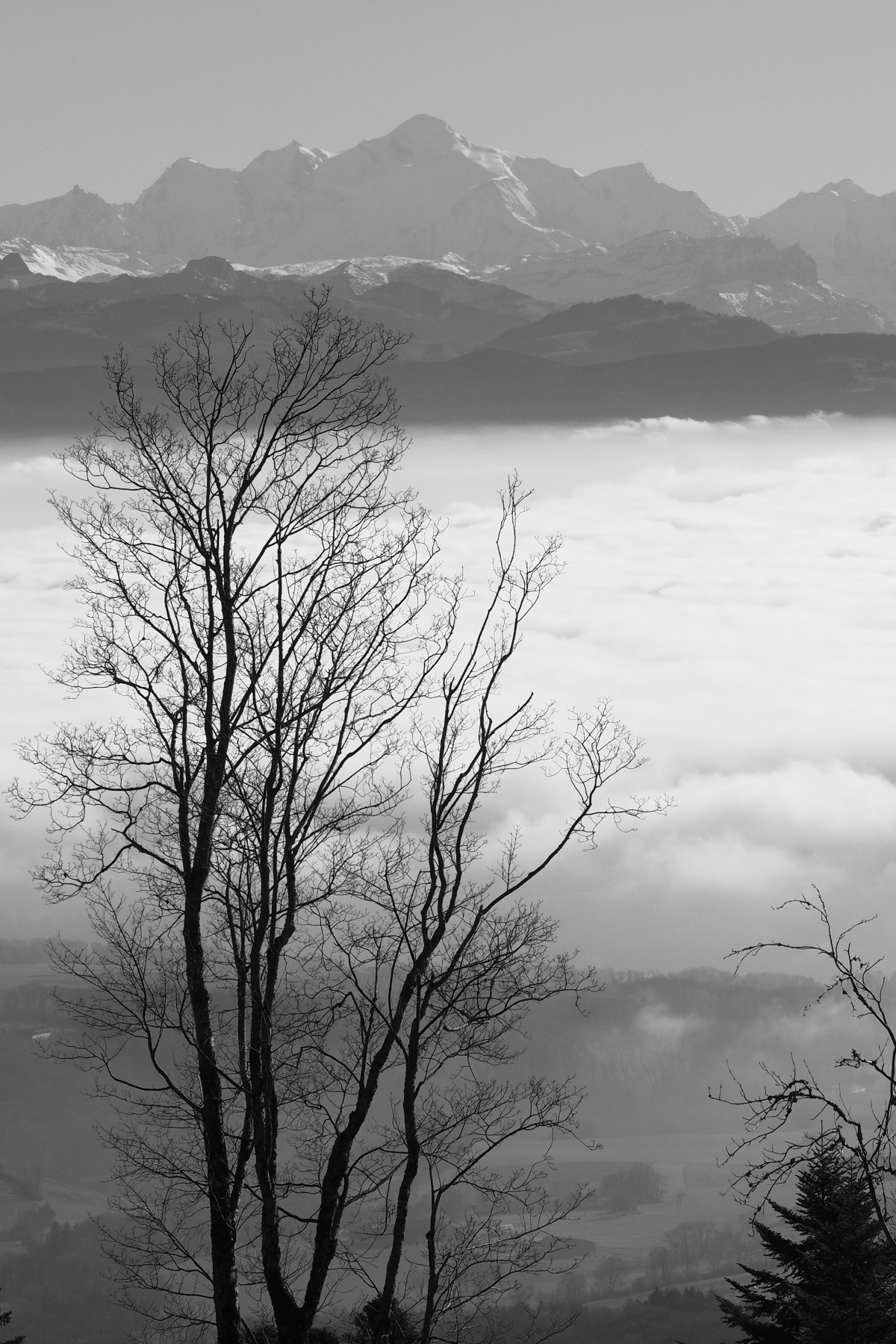 Février 2026 – Chemin des Fers – Randonnée&nbsp;hivernale