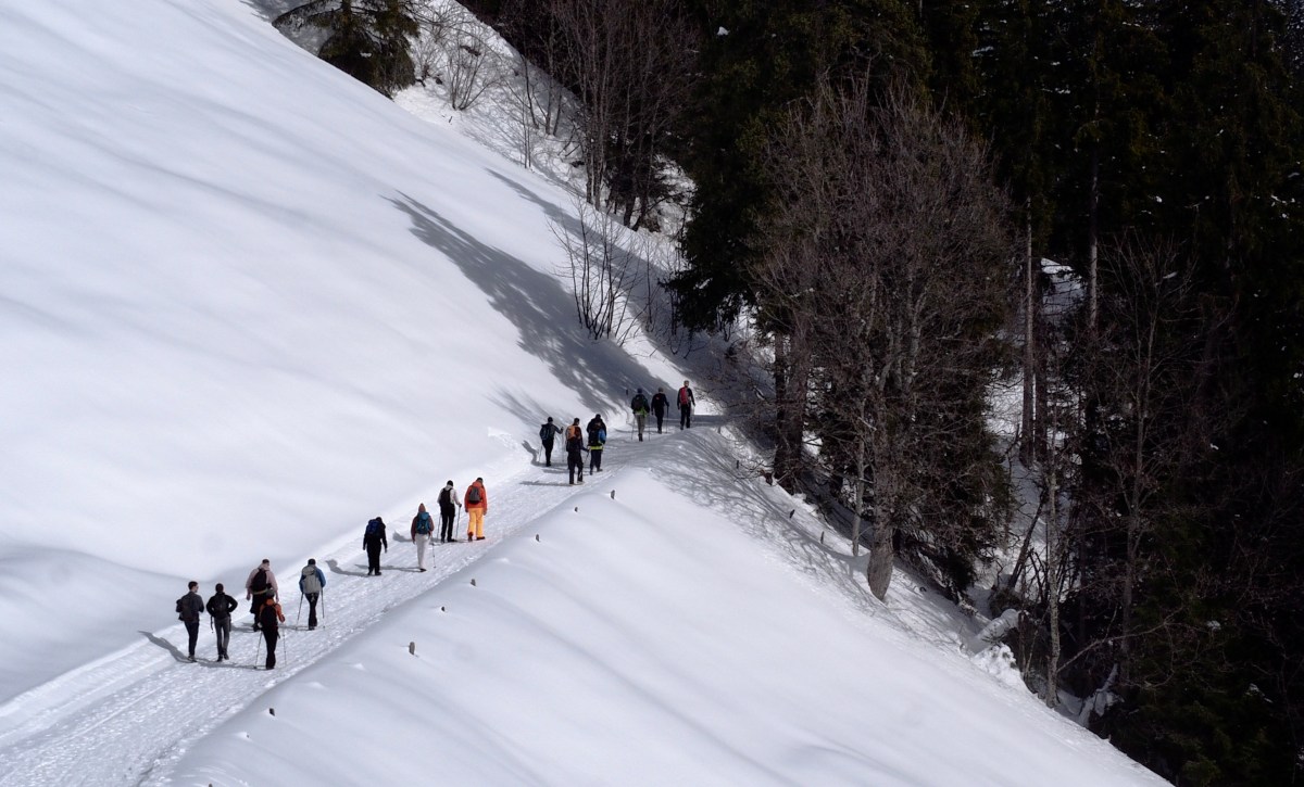 Décembre 2026 – Raquettes au Mont&nbsp;Chevreuil